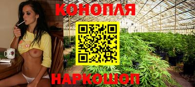 СК Жуковский