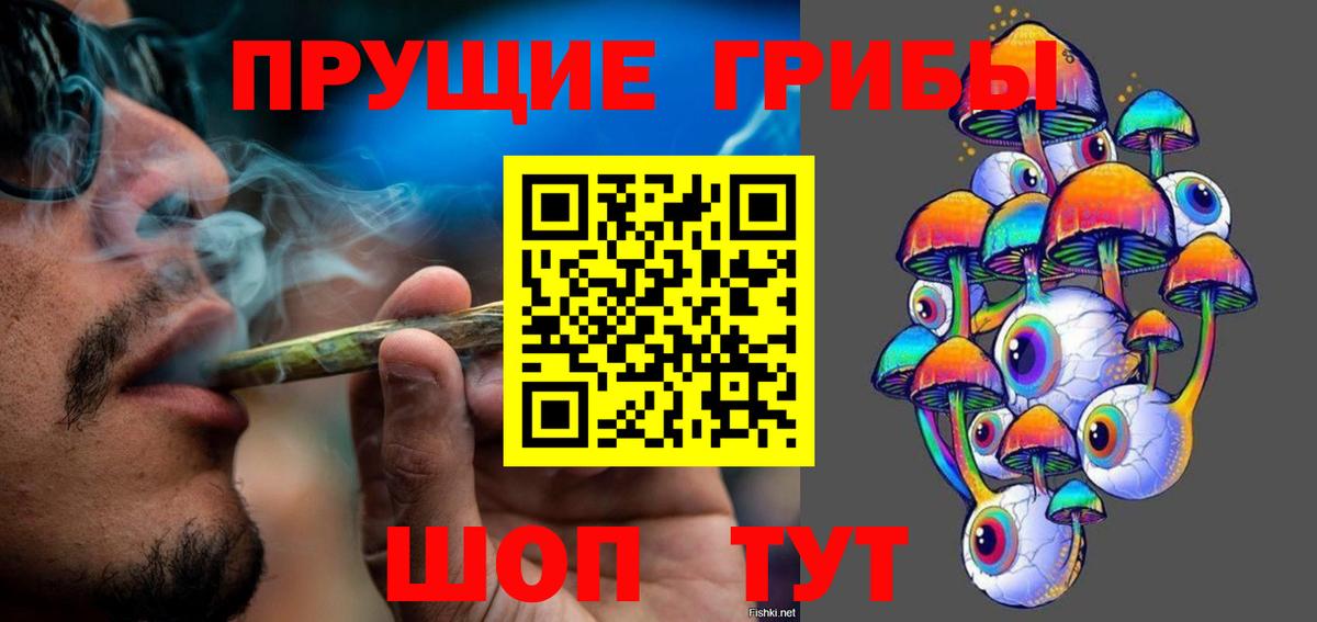 Галлюциногенные грибы ЛСД  магазин  наркотиков  Куйбышев  Вход с VPN  Галлюциногенные грибы прущие грибы 