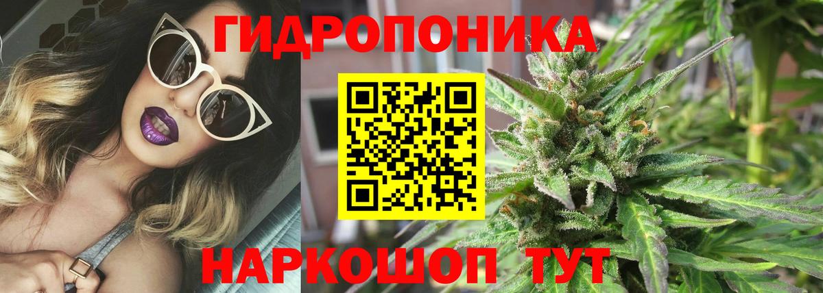 Бошки марихуана AK-47 Куйбышев